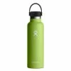 Hydro Flask 21 Oz (621 Ml) Standard Mouth - Seagrass
